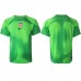 Cheap United States Goalkeeper Away Football Shirt World Cup 2022 Short Sleeve